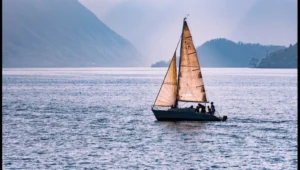 Boat Motifs
