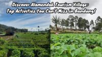 Desa Wisata Alamendah Desa Wisata Alamendah